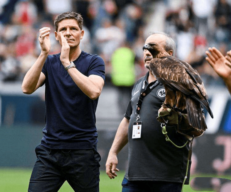 贝博官方入口 -欧国联赛程2024年9月赛程最新伤停情况